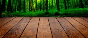 Understanding the Green Transition in Construction - Helping Companies in Their Green Transition